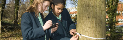 Two school girls are using a tape measure to measure the circumference of a tree. One is measuring and the other is noting the measurement. The school buildings are in the background.