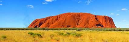 Bright colours define Uluru, with orange soil in the foreground scattered with green grass clumps, and a bright blue sky with a few small clouds. Uluru stand in the distance and is bright orange in colour.