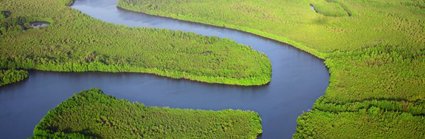 A deep blue river meandering through a lush green rainforest, taken from above.