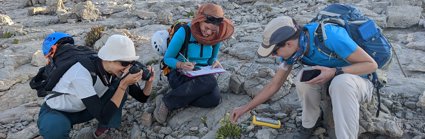 Three people crouching around a flowering plant surrounded by rocks. One person is taking a photo, one is writing notes on a clipboard and the other is touching the plant. All three are wearing sunhats and rucksacks.