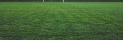 A football set on a green pitch with a goal in the background. It is dusk and the sun i setting behind the trees, which are behind the goal