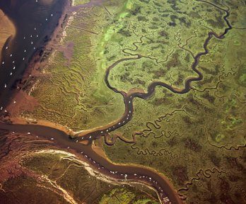 Aerial photo of wetlands and rivers system