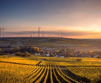 Crop field with windmills in the distance 